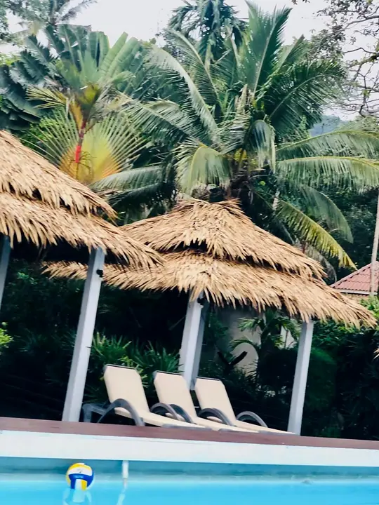 Palmen en rieten cabana's boven het zwembad