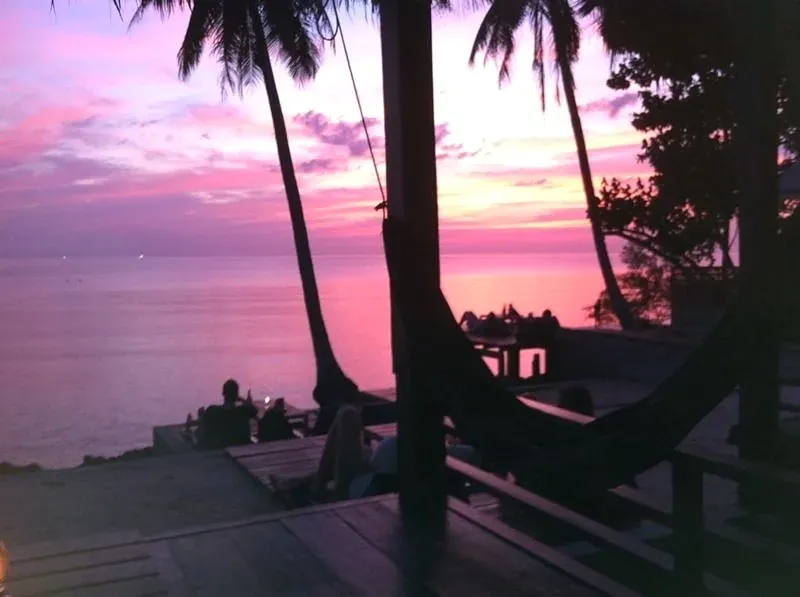 Pink sunset sky through the palms over the sea