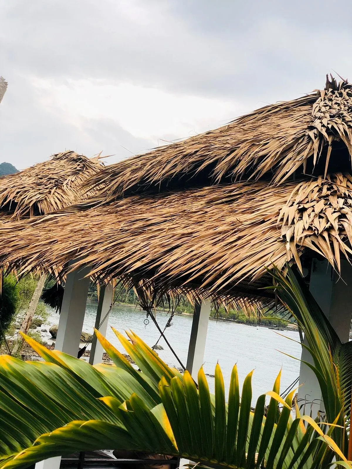 Thatched roofs and tropical plants with the sea beyond